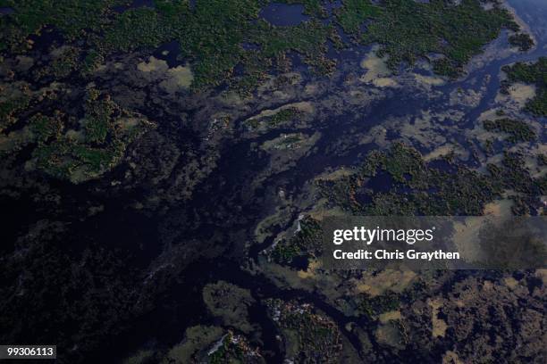 The sun sets on the grassy wetlands near the Louisiana coast line of Saint Bernard Parish on April 28, 2010.