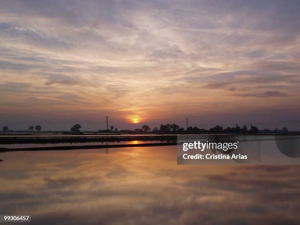 Sunset in flooded rice fields in Riumar, Ebro Delta Natural Park, Tarragona, Cataluna, Spain, may 2007 .