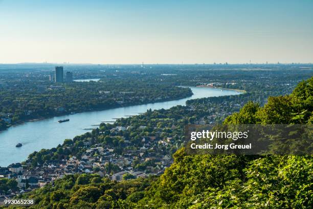 rhine river - jorg greuel stock pictures, royalty-free photos & images