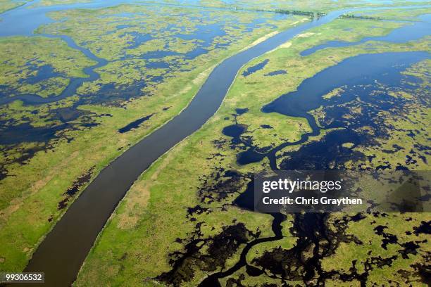 General view of the grassy wetlands on the coast of Louisiana near Saint Bernard parish in the Gulf of Mexico on April 28, 2010.