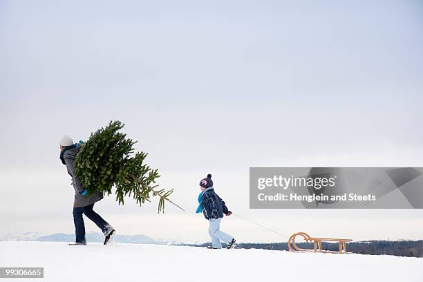 mother and son carrying christmas tree - pulling sledge stock pictures, royalty-free photos & images