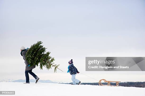 mother and son carrying christmas tree - family snow stock pictures, royalty-free photos & images