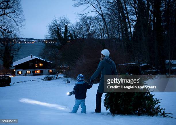 mother and son carrying christmas tree - sleep walking stockfoto's en -beelden