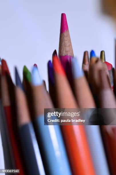 standing out in a crown colored pencils - bradley studio stock pictures, royalty-free photos & images