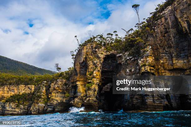 tasmanian coast - tasmanian tourist destinations stock pictures, royalty-free photos & images