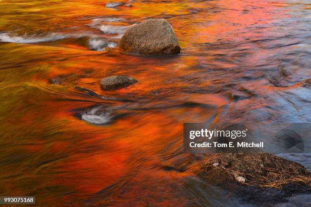 swift river reflection fall colors - swift river 個照片及圖片檔