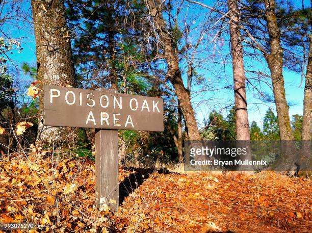 poison oak warning sign - poison oak fotografías e imágenes de stock