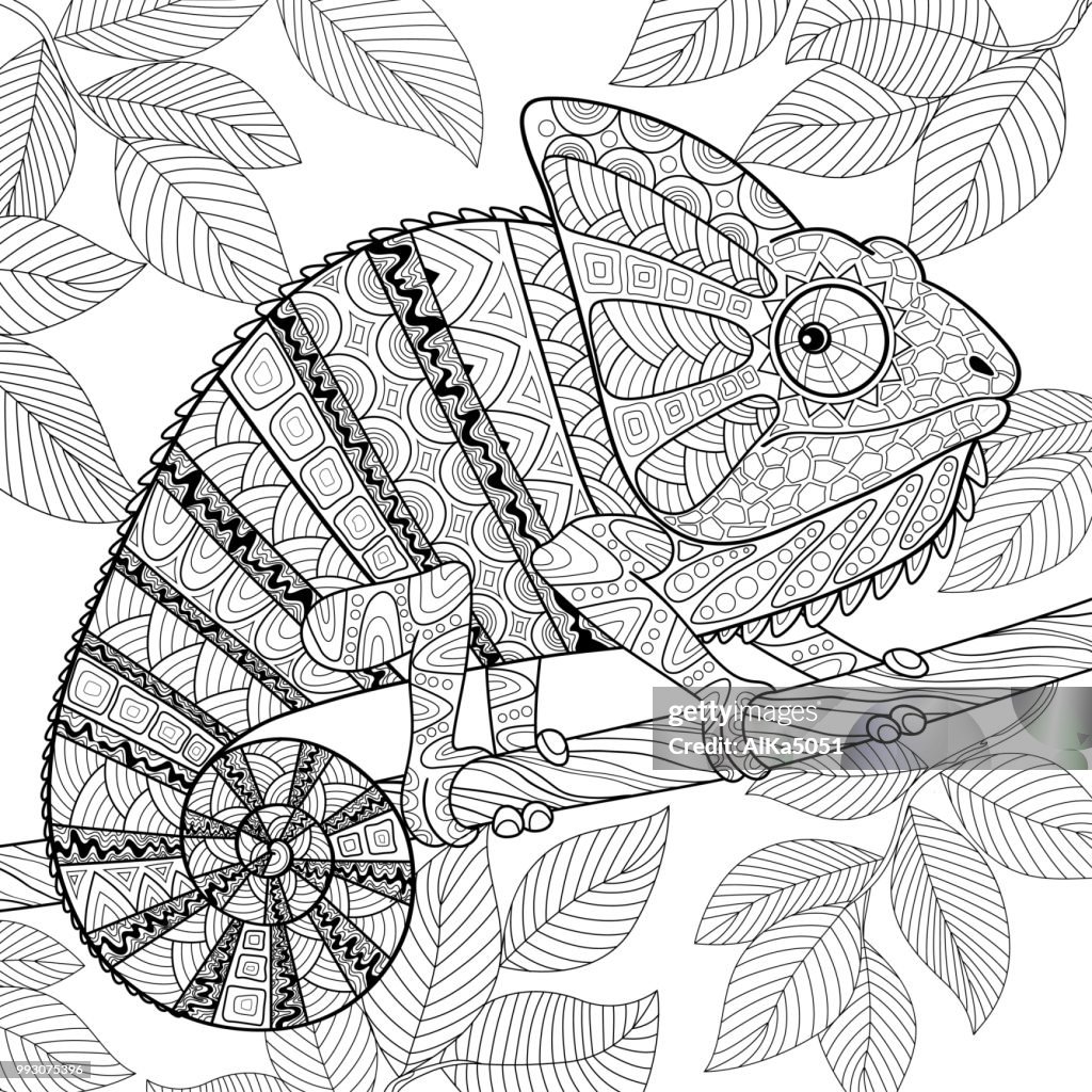 Chameleon In Zentangle Stijl Volwassen Antistressprogramma Kleurplaat  Zwartwit Hand Getrokken Doodle Voor Coloring Boek Stockillustraties - Getty  Images