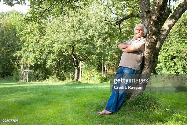 grandfather is leaning against a tree - leaning tree stock pictures, royalty-free photos & images