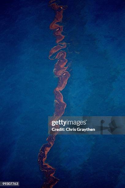 Oil sits on the surface of the water that has leaked from the Deepwater Horizon wellhead in the Gulf of Mexico on April 28, 2010 near New Orleans,...