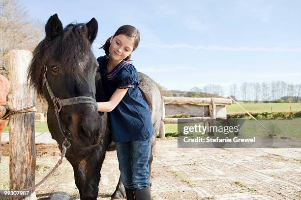 girl combing a pony - dießen stock-fotos und bilder