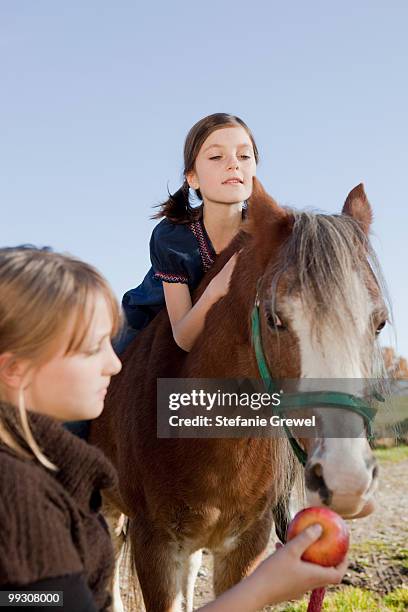 girl on a horseback - dießen stock-fotos und bilder