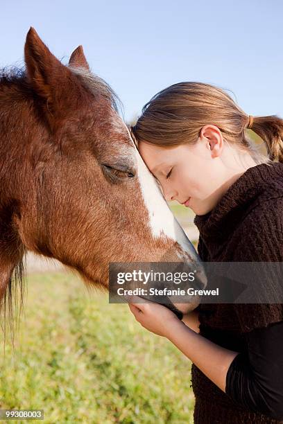 girl with horse - dießen stock-fotos und bilder
