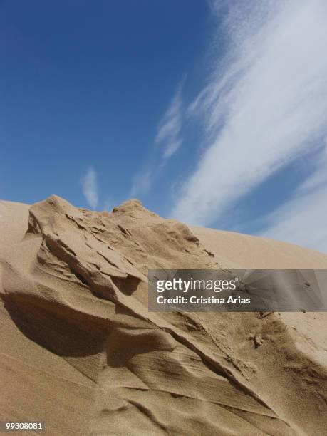 Sand dunes in Punta del Fangar, Ebro Delta Natural Park, Tarragona, Cataluna, Spain, may 2007 .