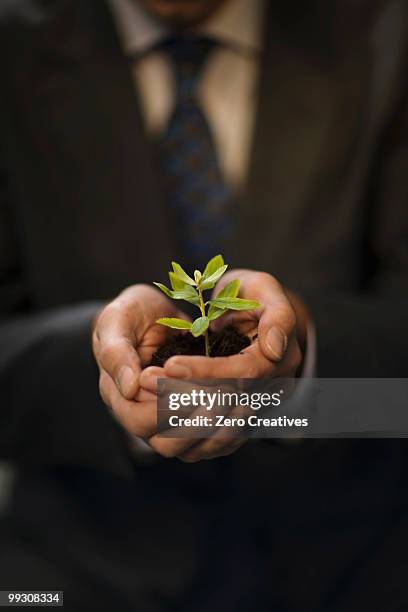 man holding plant in hands - dietramszell stock-fotos und bilder