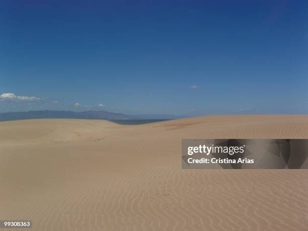 Sand dunes in Punta del Fangar, Ebro Delta Natural Park, Tarragona, Cataluna, Spain, may 2007 .