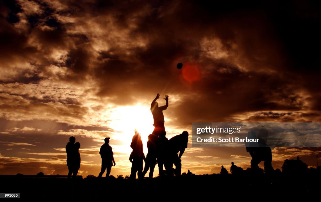 Wallabies training