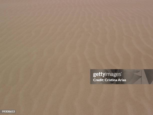 Sand dunes in Punta del Fangar, Ebro Delta Natural Park, Tarragona, Cataluna, Spain, may 2007 .