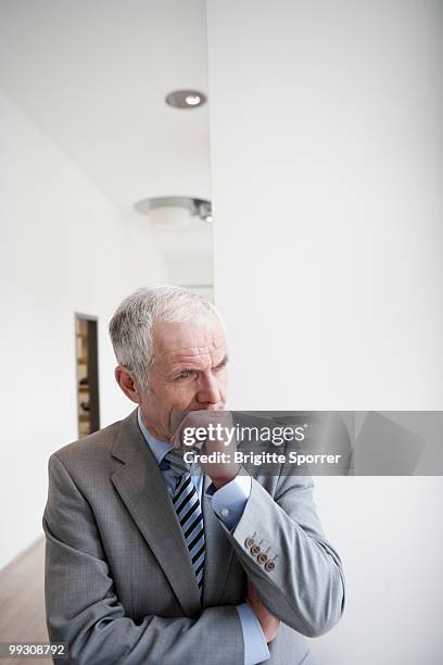 businessman pondering - brigitte sporrer stock pictures, royalty-free photos & images