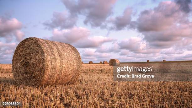 bundy hay bales #1 - bundy stock pictures, royalty-free photos & images