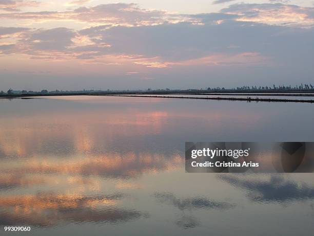 sunset in flooded rice fields in the canal vell, ebro delta natural park, tarragona. - tarragona province stock pictures, royalty-free photos & images