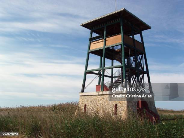 Observatory in Gola de Migjorn area, Ebro Delta Natural Park, Tarragona, Cataluna, Spain, may 2007 .