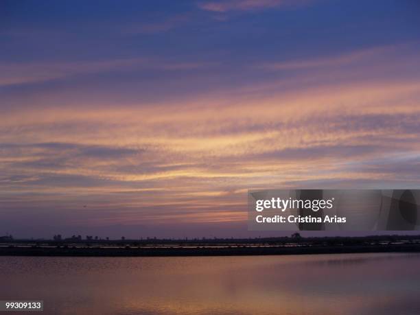 Sunset in flooded rice fields, Ebro Delta Natural Park, Tarragona, Cataluna, Spain, may 2007 .
