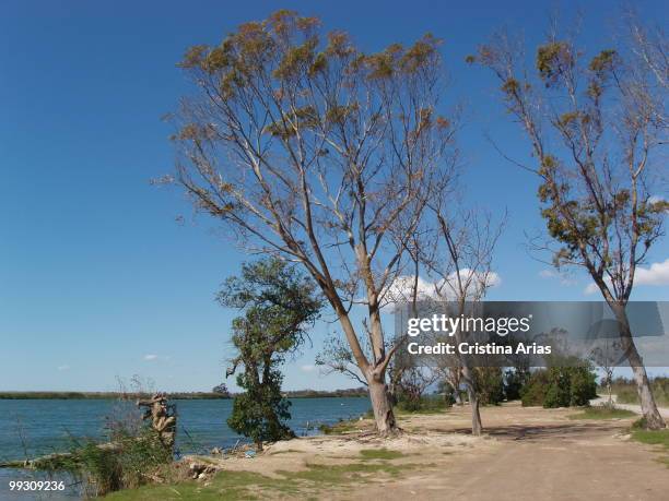Ebro river mouth, Ebro Delta Natural Park, Tarragona, Cataluna, Spain, may 2007 .