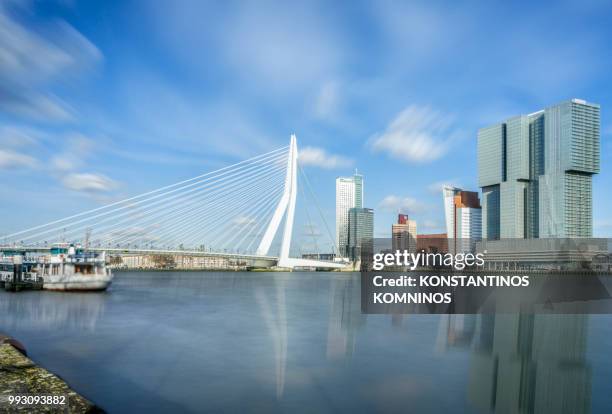 rotterdam kop van zuid - kop stock pictures, royalty-free photos & images