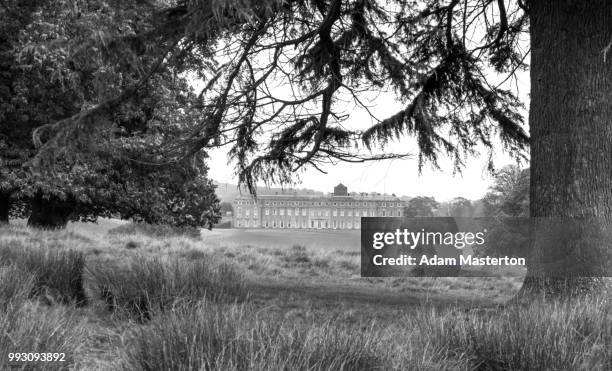 petworth park b&w - petworth stock pictures, royalty-free photos & images