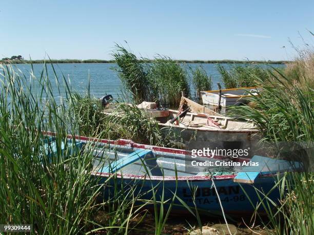 Traditional boats in the Ebro river mouth, Ebro Delta Natural Park, Tarragona, Cataluna, Spain, may 2007 .