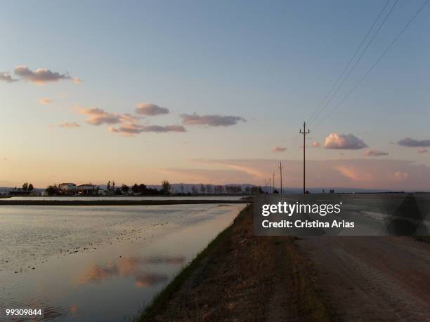 Sunset in the flooded rice fields, Ebro Delta Natural Park, Tarragona, Cataluna, Spain, may 2007 .