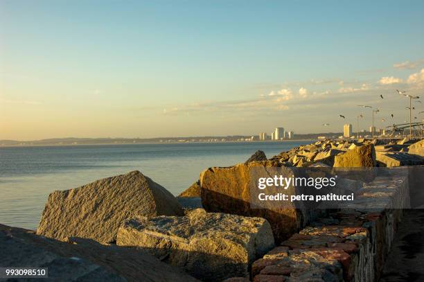 punta del este - on the jetty at late afternoon - este stock pictures, royalty-free photos & images