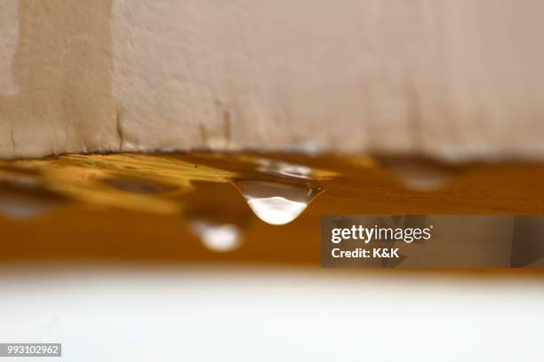 rain drops - kk stock pictures, royalty-free photos & images