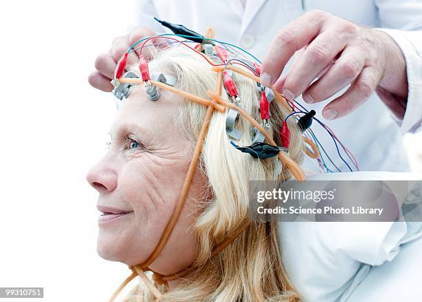 electroencephalography - brain activity stock pictures, royalty-free photos & images