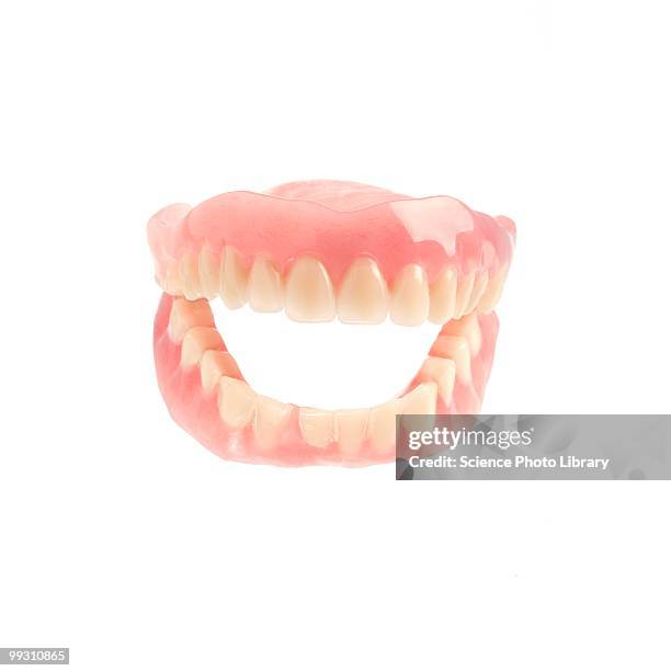 false teeth - dentadura postiza fotografías e imágenes de stock