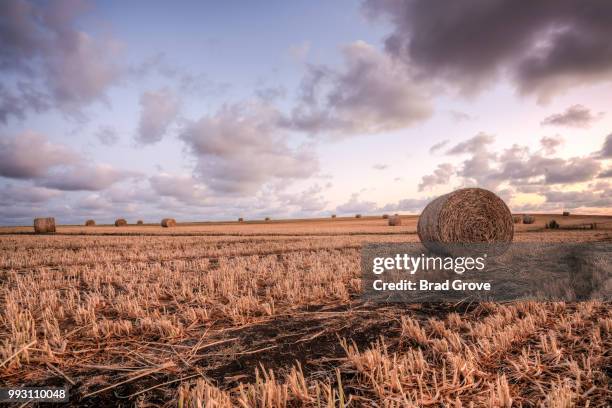 bundy hay bales #2 - bendy stock-fotos und bilder