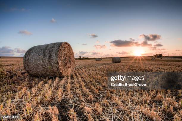 bundy hay bales #5 - bundy stock pictures, royalty-free photos & images