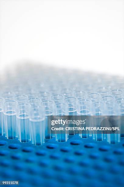 eppendorf tubes - eppendorf tube stock pictures, royalty-free photos & images