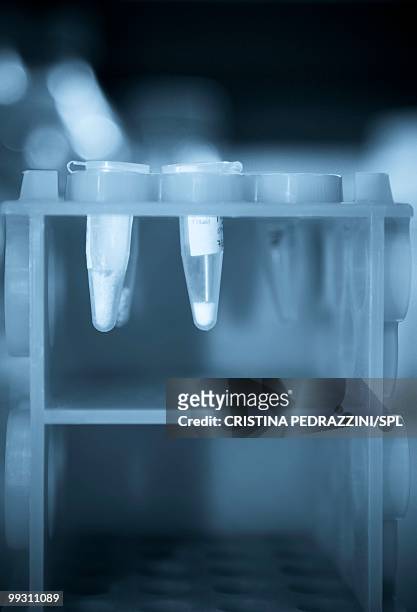 eppendorf tubes - eppendorf tube stock pictures, royalty-free photos & images