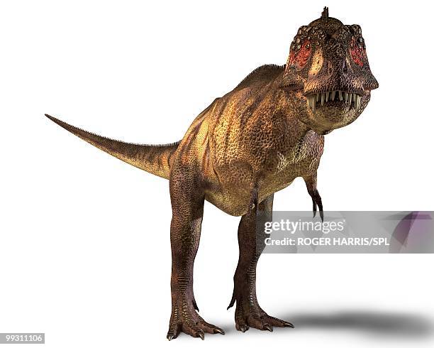 tyrannosaurus rex dinosaur - tyrannosaurus rex stock-grafiken, -clipart, -cartoons und -symbole