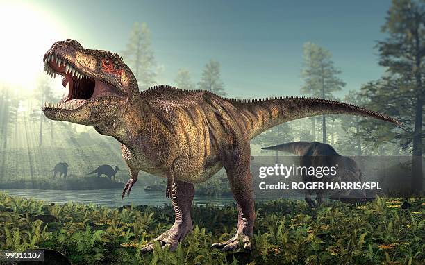ilustraciones, imágenes clip art, dibujos animados e iconos de stock de tyrannosaurus rex dinosaur - dinosaur