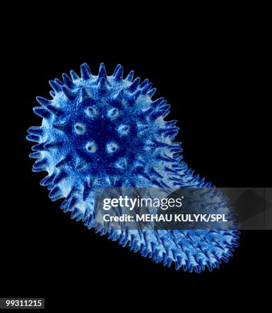 Bacillus bacteria, artwork Bacillus bacteria, artwork