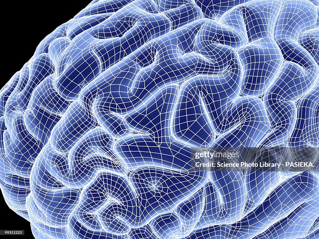 Brain Image Bitmap Human Brain Computer Artwork High-Res Vector Graphic - Getty Images