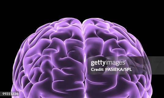 Human Brain Computer Artwork High-Res Vector Graphic - Getty Images