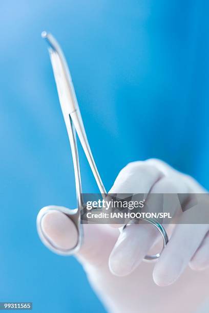 Using Forceps Surgical Forceps Photos and Premium High Res Pictures - Getty Images