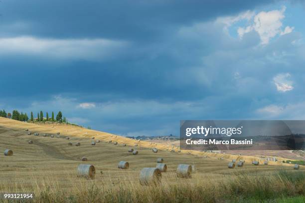 colline toscane - colline stock pictures, royalty-free photos & images
