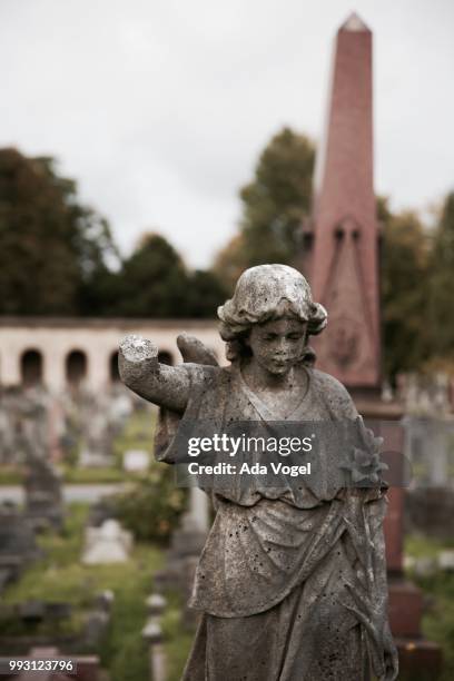 brompton cemetery - ada imagens e fotografias de stock