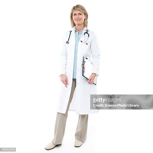 doctor - doctor white background stock pictures, royalty-free photos & images