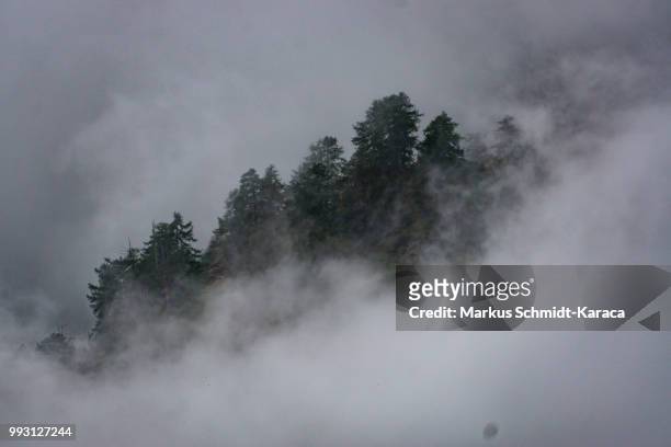 on a fogy day in the mountains - markus schmidt stock pictures, royalty-free photos & images